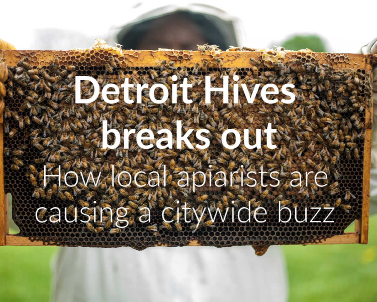 Detroit Hives 