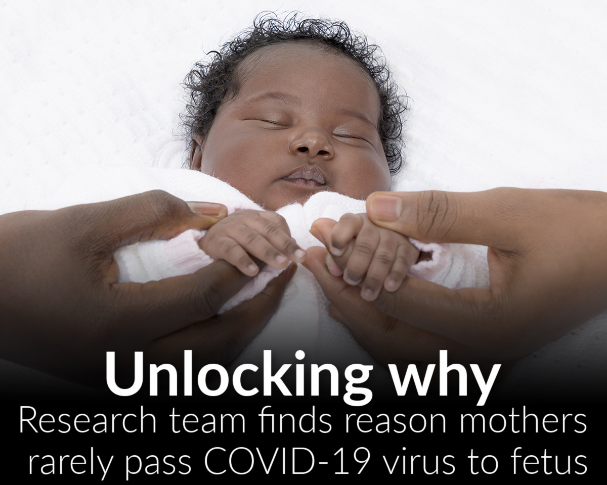 Research team finds reason mothers rarely pass COVID-19 virus to fetus