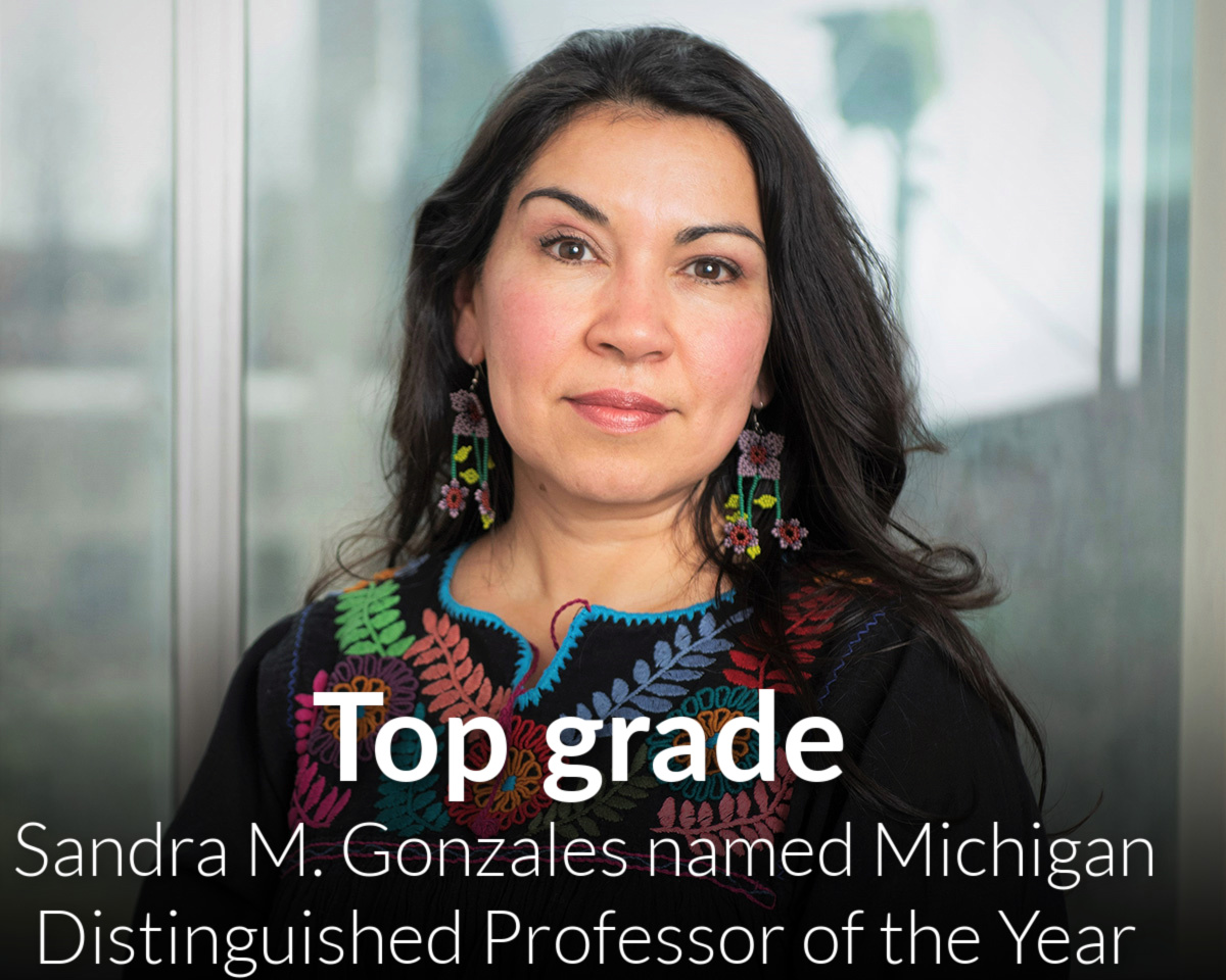 Sandra M. Gonzales named Michigan Distinguished Professor of the Year