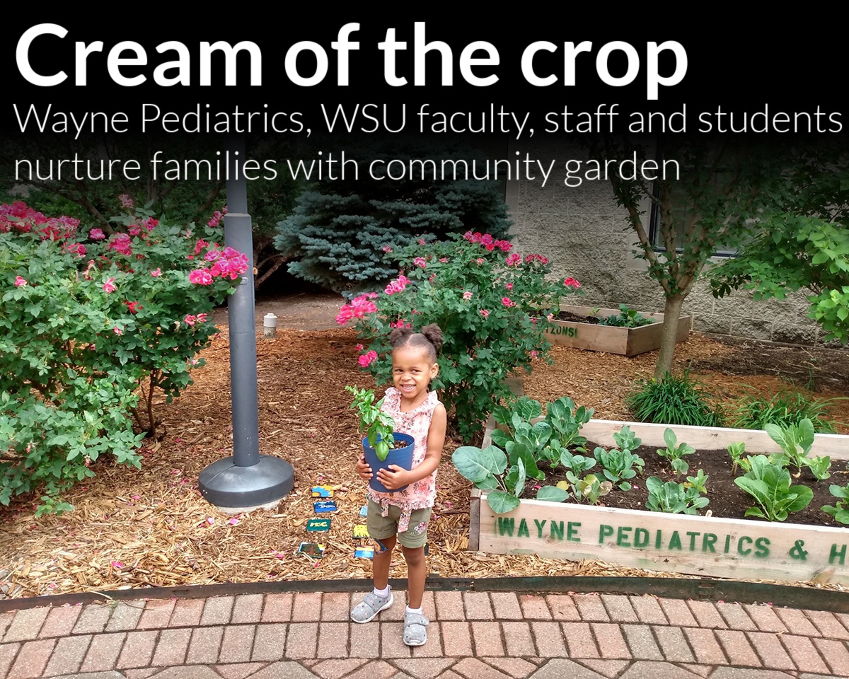 Community garden nurtures families with fresh produce grown by Wayne Pediatrics and WSU faculty, staff and students