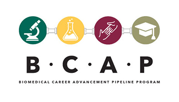 BCAP Program Switches to Online Format