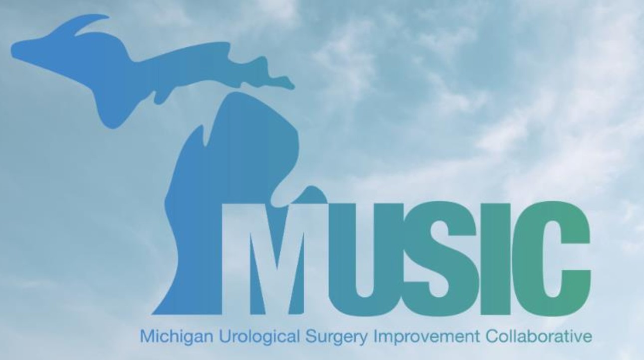 The Michigan Urological Surgery Improvement Collaborative (MUSIC)