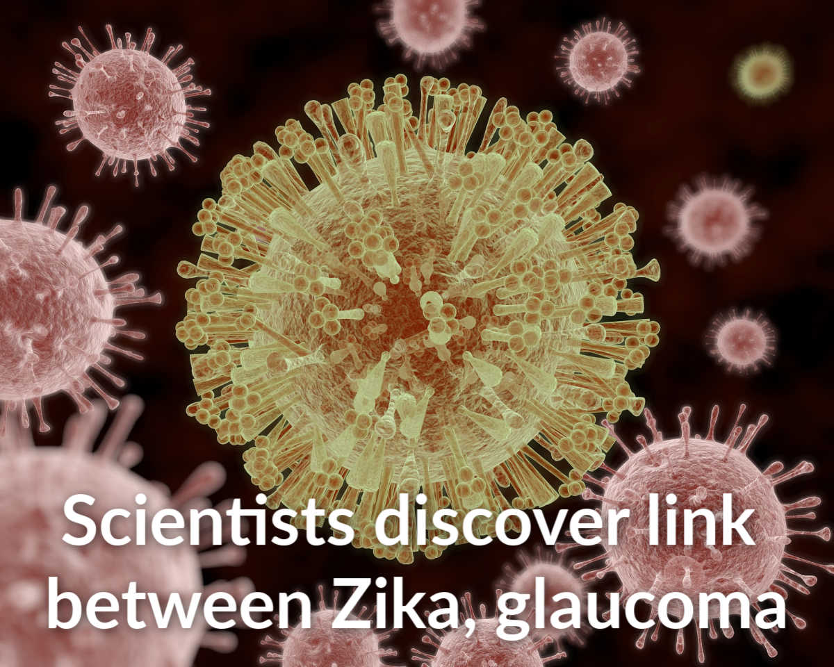 Wayne State University scientists discover link between Zika virus and glaucoma